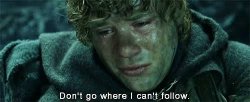 sam don't go where I can't follow Meme Template