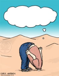 head in sand Meme Template