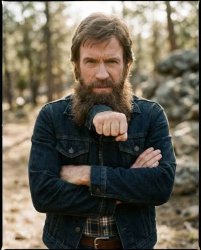 Chuck Norris Fist Beard Meme Template