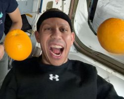 Astronaut Fruit Meme Template