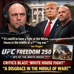 UFC FREEDOM 250 Meme Template