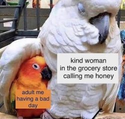 Kind woman calling me honey Meme Template