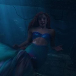 Ariel Shipwreck Meme Template