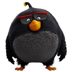 the blackets bird Meme Template