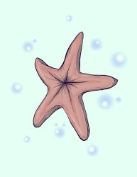 Chocolate starfish Meme Template