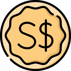 Singapore Dollar Gold Coin Meme Template