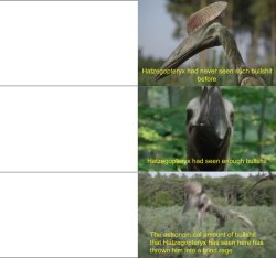 Hatzegopteryx bullshit Meme Template