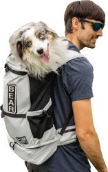 dog backpack Meme Template