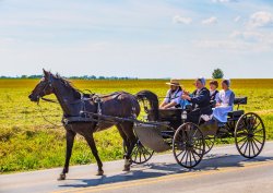 software-amish Meme Template