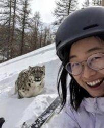 Tourist gets that once in a lifetime photo Meme Template