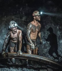 Miner Meme Template