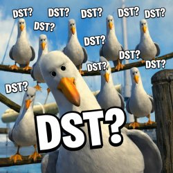 Nemo birds meme where all birds say “DST?” And the one in the fr Meme Template