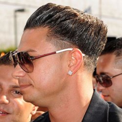 Busy Jersey Shore Haircut Meme Template