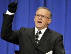 too high albo Meme Template