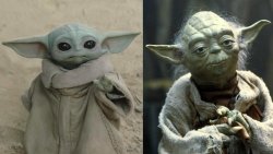 groku yoda Meme Template