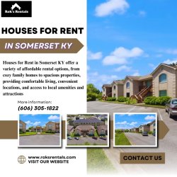 Houses for Rent in Somerset KY Meme Template