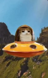 space cat Meme Template