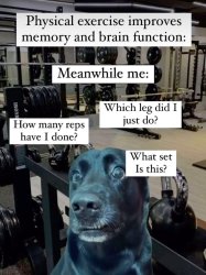 Gymdog Meme Template