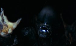 Alien '79 Jump Scare Meme Template