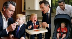 Newsom and baby Trump Meme Template