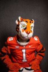 ClemSON Meme Template