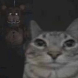 POV: when you slam the door after arguing with your mom Meme Template