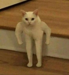 yo chill daddy quit looking at me Meme Template