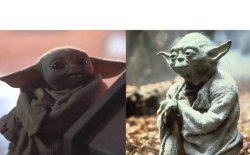 Yoda Meme Template