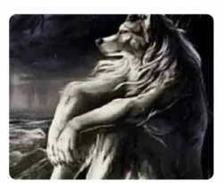 Lone wolf Meme Template