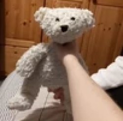 bear plush choking Meme Template