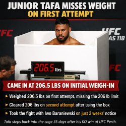 UFC Vegas 118 Meme Template