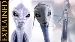Kaminoans Explain Meme Template