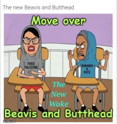 Woke Beavis and Butthead Meme Template