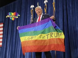 Donald Trump LGBT Gay Pride Flag Meme Template