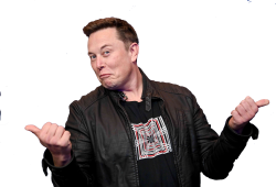 Elon Musk shrug Meme Template