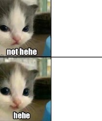 not hehe and then hehe Meme Template