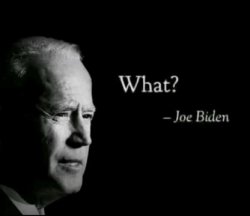 joe biden what Meme Template