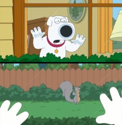 Family Guy Squirrel flipping off Brian Meme Template