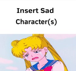 who feels sorry for usagi ? Meme Template