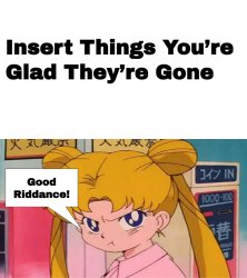 usagi said good riddance to who ? Meme Template