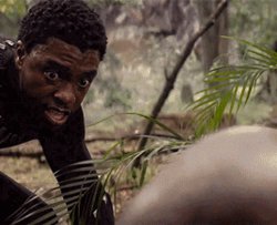 Black panther gts snapped Meme Template
