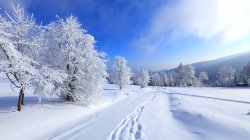 Winter Landscape Meme Template
