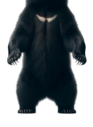 Bear bod Meme Template
