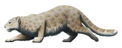 Blythe's Panther Meme Template