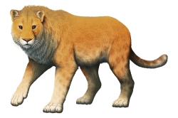 American Lion Meme Template