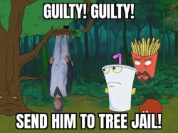 Tree jail ATHF Meme Template