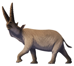 Arsinoitherium Meme Template