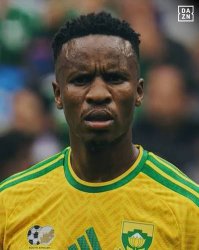 zwane Meme Template