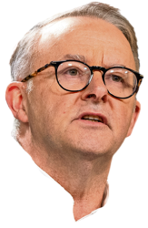 Albo head Meme Template