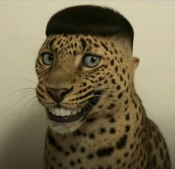 Smiling Leapord Meme Template